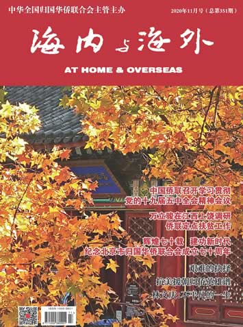 2020年11月号（总第351期）