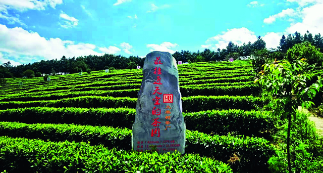 微信图片_20201125103322.jpg 微信图片_20201125103322.jpg