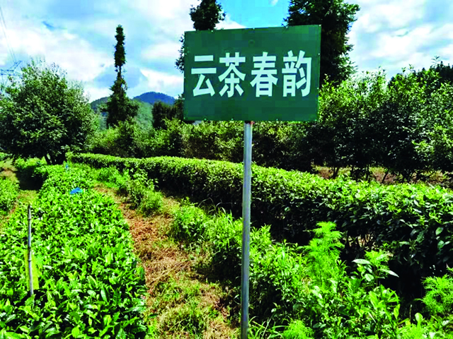 微信图片_20201125103316.jpg 微信图片_20201125103316.jpg