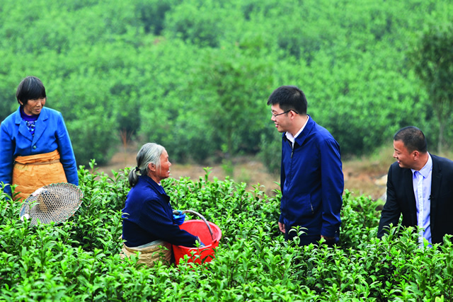 中国侨联派驻上饶上乐村第一书记周臻扬（右二）.jpg