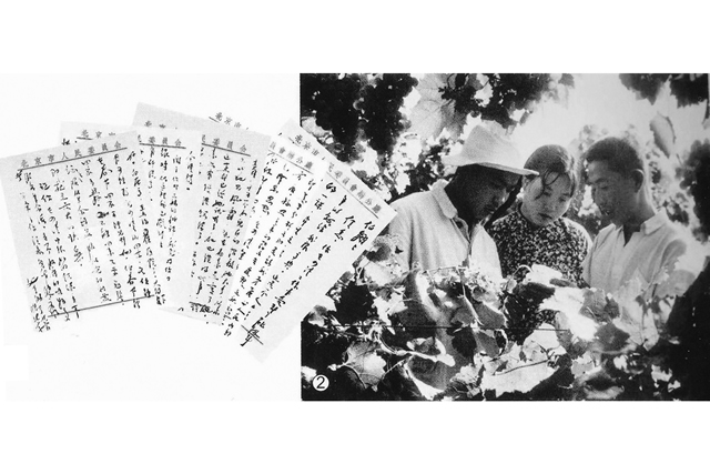父亲万里的亲笔信，鼓励儿子在农村锻炼成长。.jpg