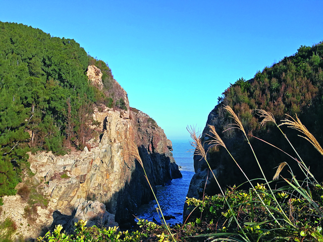 微信图片_20210222115630.jpg 微信图片_20210222115630.jpg