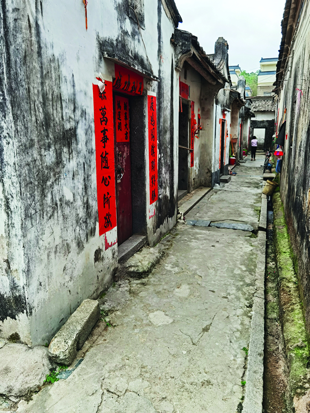 新杏林古村.jpg 新杏林古村.jpg