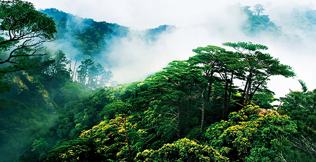 微信图片_20220721120509.jpg 微信图片_20220721120509.jpg