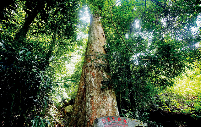 微信图片_20220721120458.jpg 微信图片_20220721120458.jpg