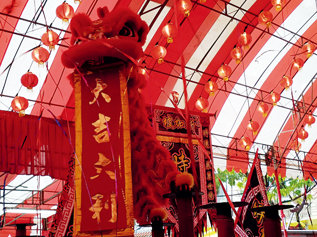 33-威武的狮子在梅花桩为观众献上祝福-福建会馆元宵团拜会.jpg 33-威武的狮子在梅花桩为观众献上祝福-福建会馆元宵团拜会.jpg
