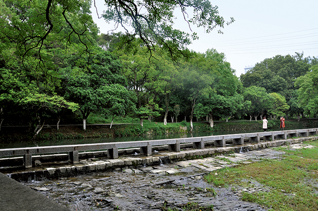 唐基苏摄影 DSC_0425.jpg 唐基苏摄影 DSC_0425.jpg