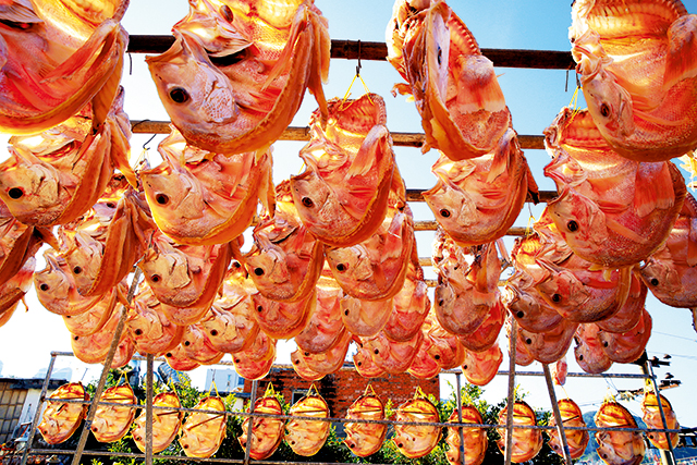 （第一位置）《晒架的大红鱼》2015年12月26日 摄于三亚老渔港码头——杨威胜摄影 电话：13976198489_副本.jpg