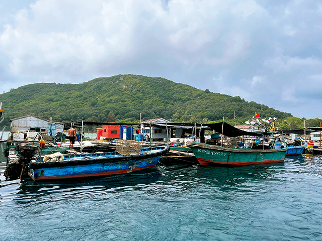 摄影 南山 微信图片_20240425145656.jpg