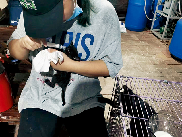 1000016375.jpg 1000016375.jpg