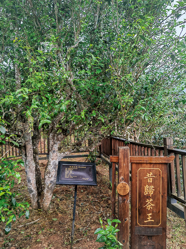 微信图片_20240611164436.jpg 微信图片_20240611164436.jpg