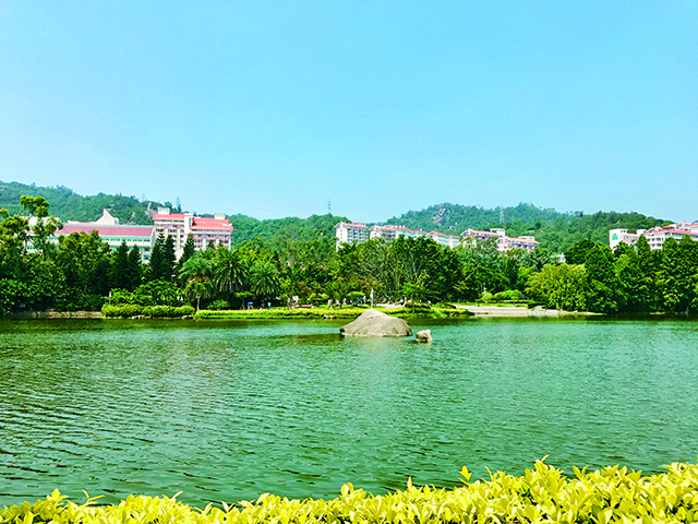厦门大学湖景.jpg 厦门大学湖景.jpg