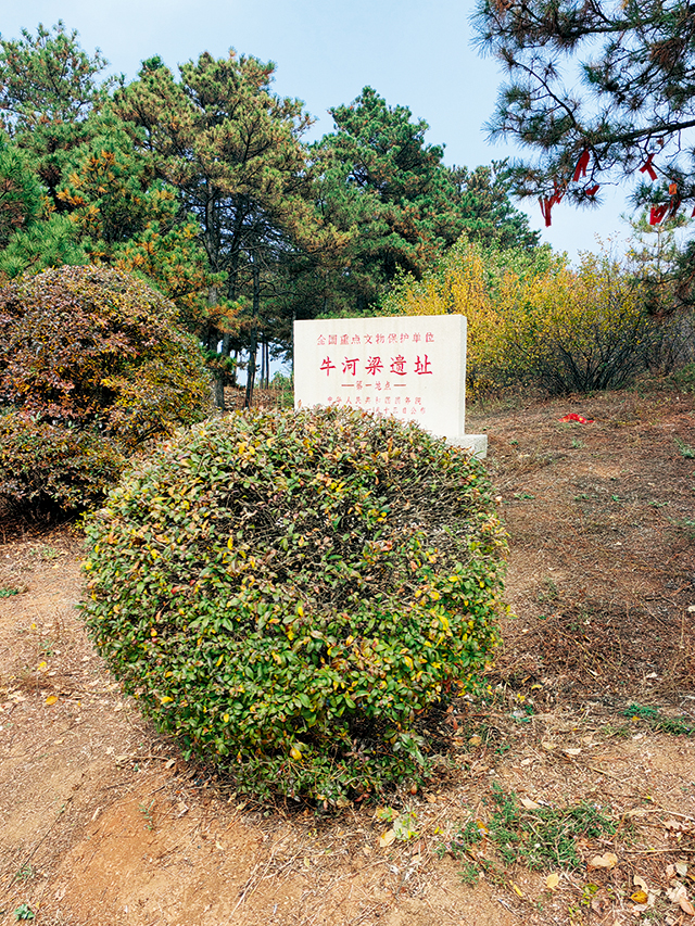 微信图片_20241203105745.jpg 微信图片_20241203105745.jpg