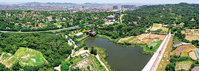 玉溪村山兜水库(玉溪村委会供图).jpg 玉溪村山兜水库(玉溪村委会供图).jpg